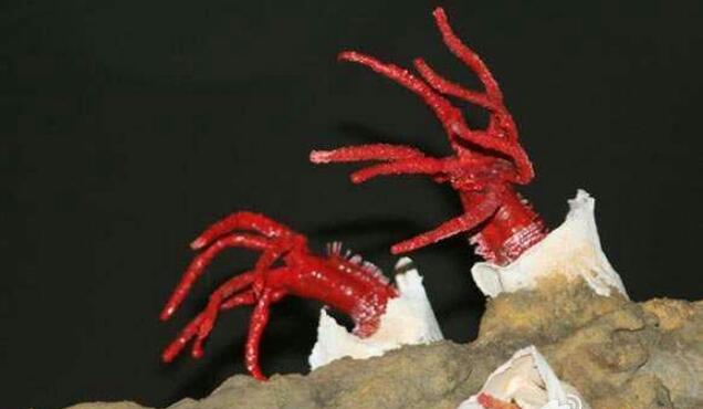 �ӱ����Ϊʲô�͸��� ��������һ�����Ǻ�����