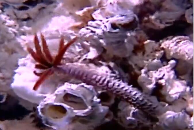 �ӱ����Ϊʲô�͸��� ��������һ�����Ǻ�����