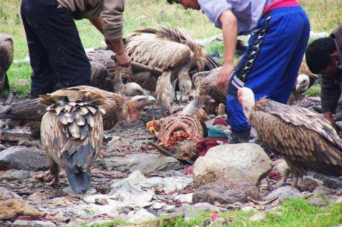 ɫ����ɥ����ʵ���� �췿��Ҫ�𵽵�����ô����