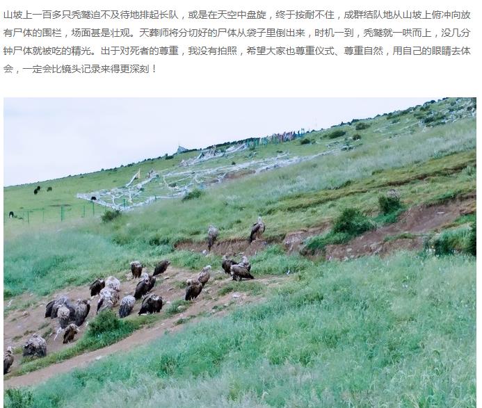 ɫ����ɥ����ʵ���� �췿��Ҫ�𵽵�����ô����