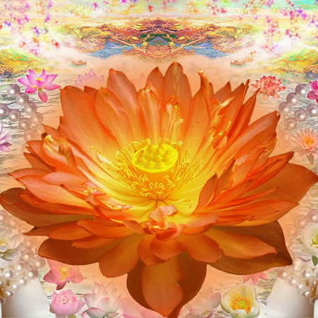 ������ɼ�����˵�� ���Ƿ��ʲô�ɼ�����