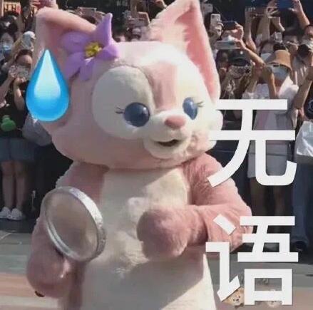 ������ʲô��˼ �����������ţ����ʲô��˼