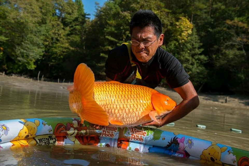 ��������ô���������� �������ϵ�������