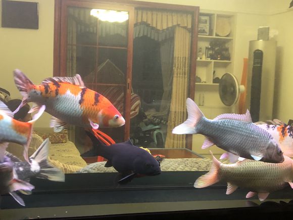 ��������ô���������� �������ϵ�������