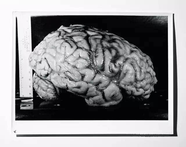 ����˹̹�Ĵ��Ի��ڶ����?����˹̹�����г�����ͼƬ