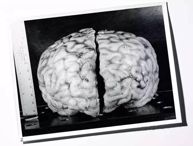 ����˹̹�Ĵ��Ի��ڶ����?����˹̹�����г�����ͼƬ