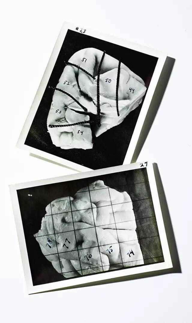 ����˹̹�Ĵ��Ի��ڶ����?����˹̹�����г�����ͼƬ