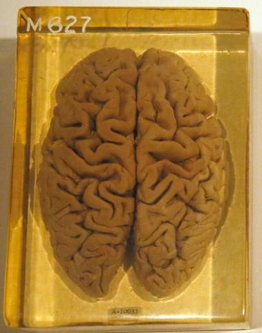 ����˹̹�Ĵ��Ի��ڶ����?����˹̹�����г�����ͼƬ