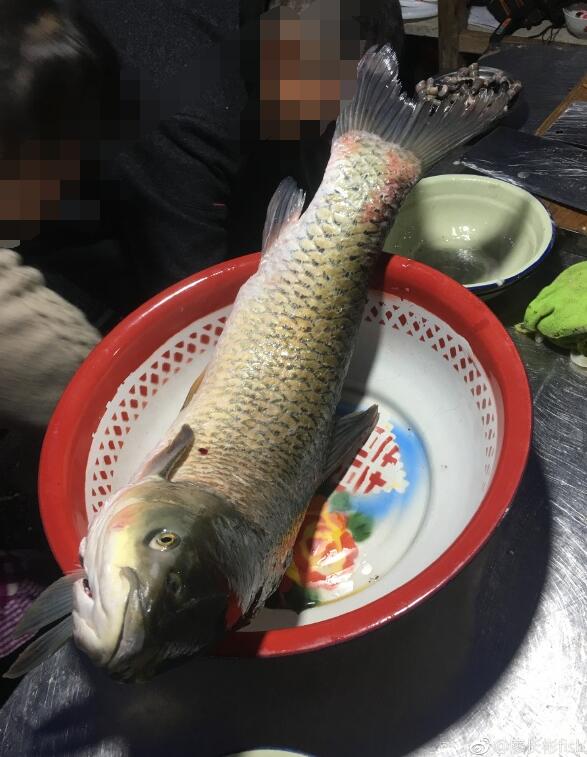 ʲô������������ �����ǿ������ǿ�����