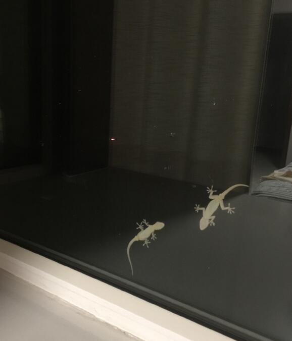 �����ڻ����ⱨӦ�� Ϊʲô����ɱ���ڻ�