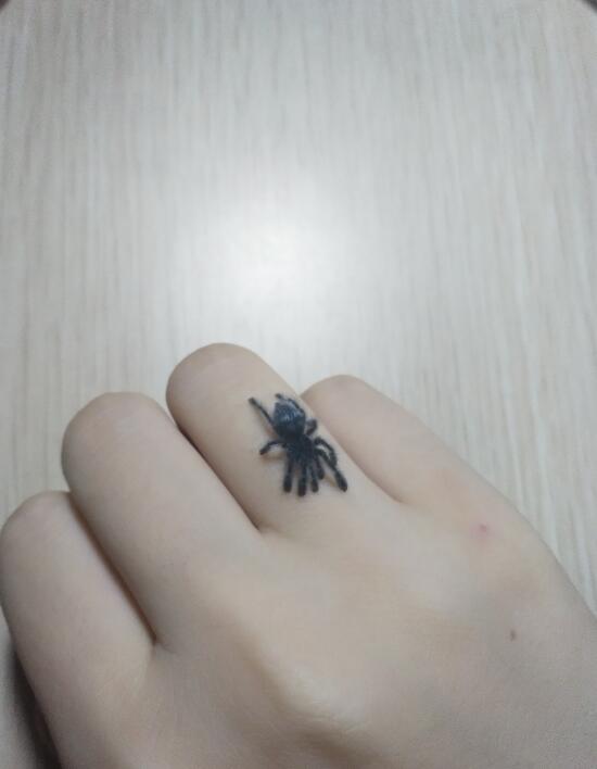 ֩��û�����ᱨ������ ֩���ƾ��ζ������ļٵ�