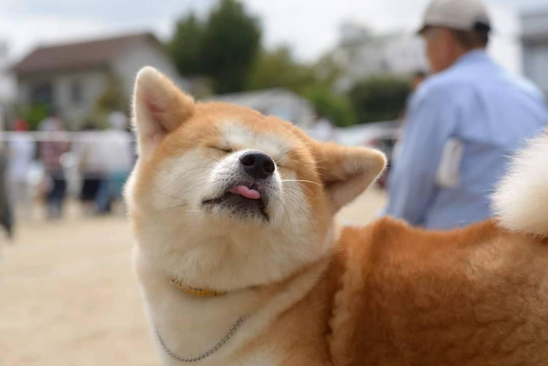 ��Ȯ�������ĸ����ձ��Ĺ��� ��Ȯ���ձ��ܹ���