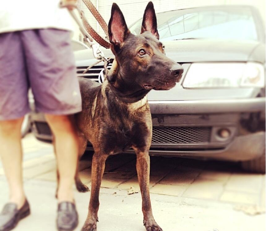 Ϊʲô��Ȯ�����ʼ��� ����Ŭ��������Ȯô