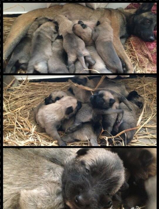 Ϊʲô��Ȯ�����ʼ��� ����Ŭ��������Ȯô