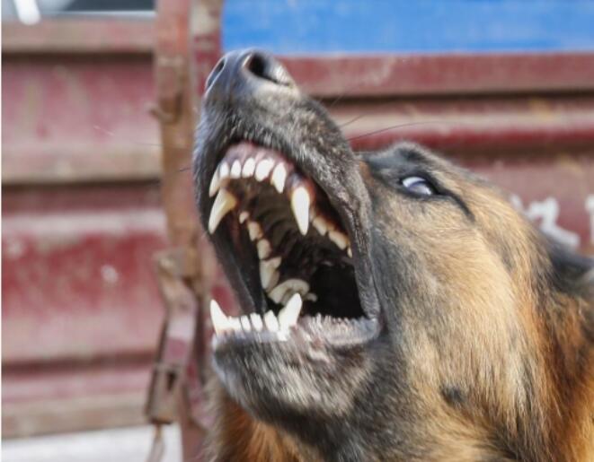 ����������ʲô˵���� �������ݵĽ�����ʲô