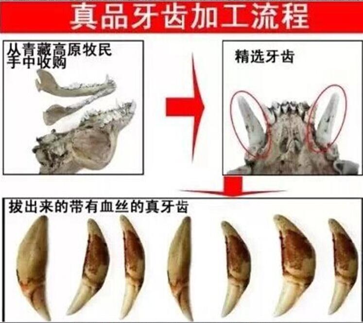 ����������ʲô˵���� �������ݵĽ�����ʲô