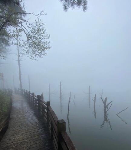 ڤ��ĺô���Ч������ ���ô��Բ���ʲô�ı���