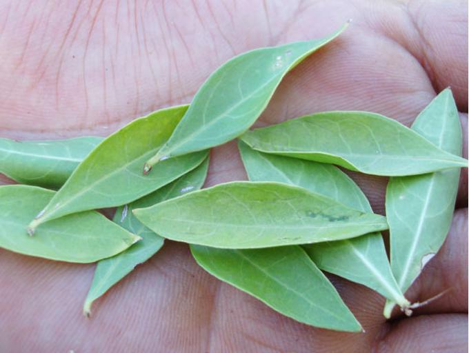 ����������ôϴ�� ����������Σ������Щ