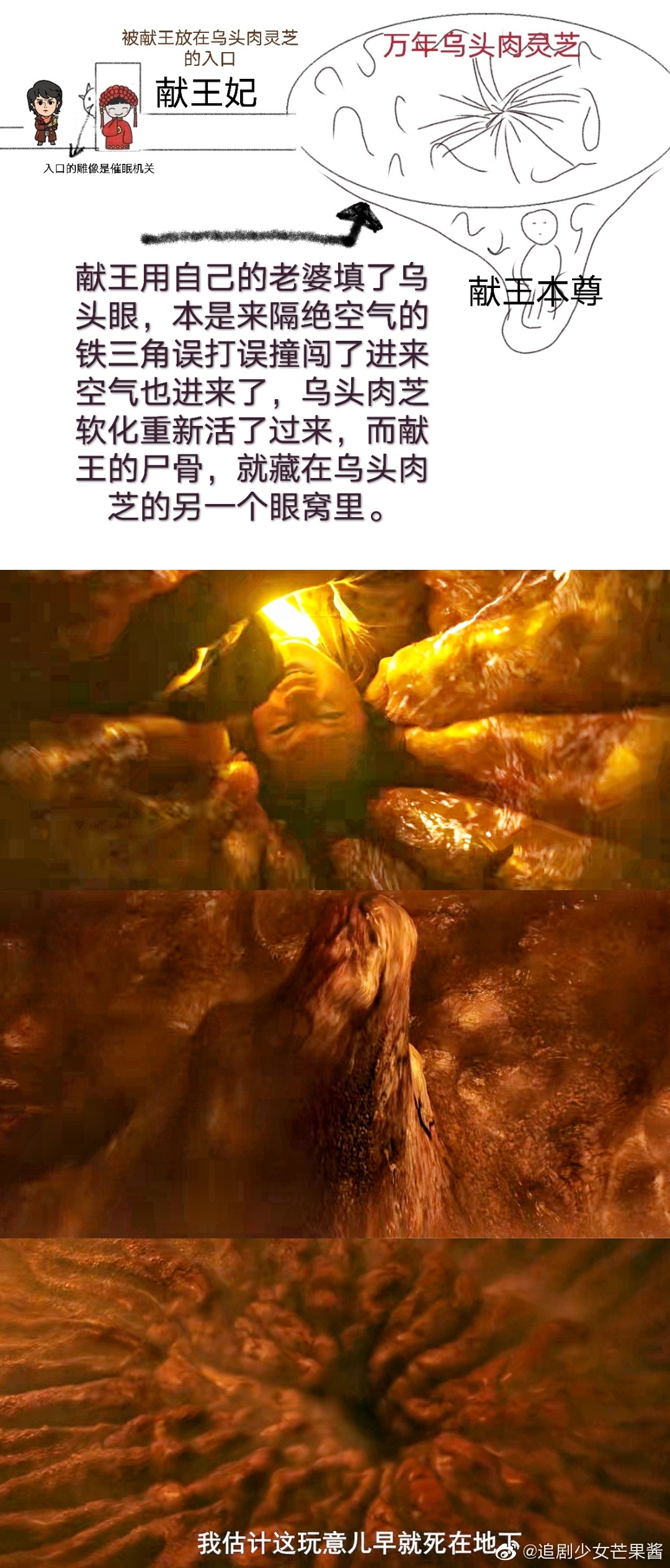 ����Ĺ��ʵ������ �����������