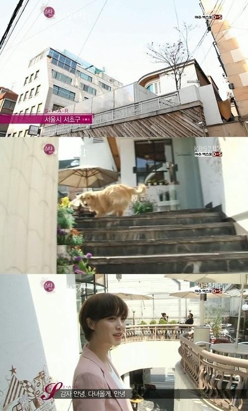 �߻���Ϊʲô��ô��Ƥ��Ʈ������ �߻��Ƹ������Ҿ�����