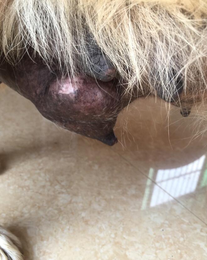 �����ǲ��ǹ���ʯ �����жϹ����˹���