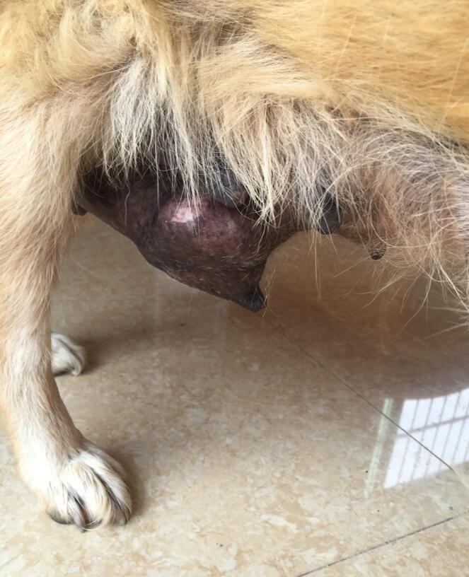 �����ǲ��ǹ���ʯ �����жϹ����˹���