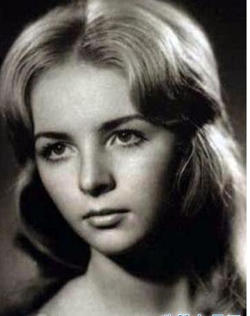 ��������������ʱ��Ƭ ������Ϊʲôϲ��������