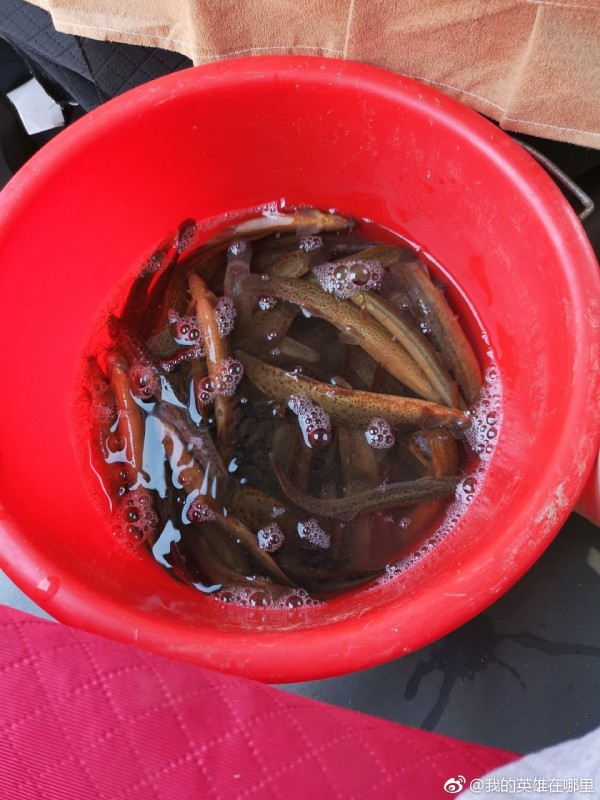 ����Ϊʲô���λ�� ����������ȥ������