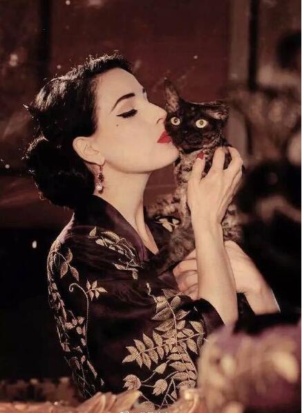 ����������˹Ϊʲô�������� ����һ�����������Ե���Ƭ��