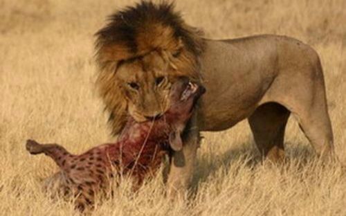 �๷Ϊʲô�Ƿ����϶� �๷Ϊʲôϲ���͸�