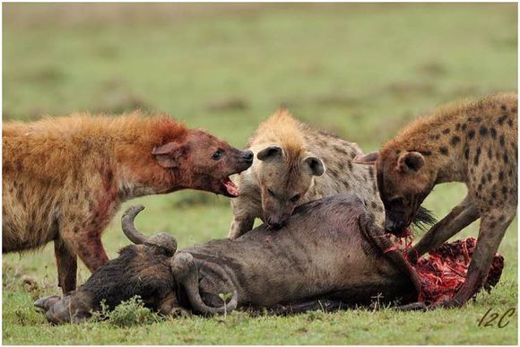 �๷Ϊʲô�Ƿ����϶� �๷Ϊʲôϲ���͸�