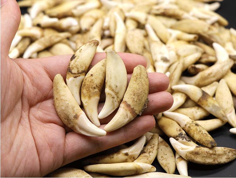 ��ʲô���������ҿ��� �ܶ��ù����ҿ����Ķ���