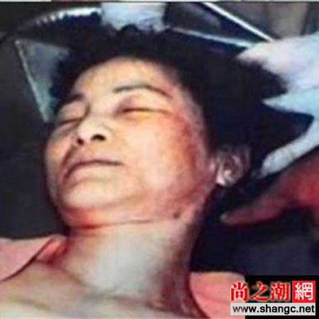 �����������ֳ���Ƭ ������Ϊʲô����Ӣ������