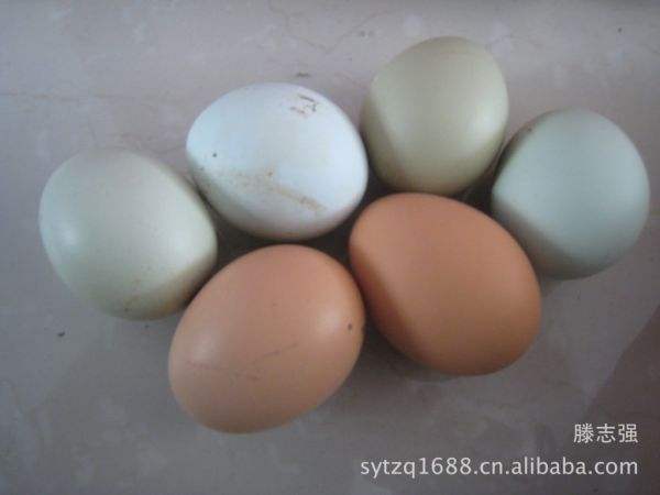 �ڼ���Ϊʲô�ǰ�ɫ�� �̿ǵ����ڼ���������