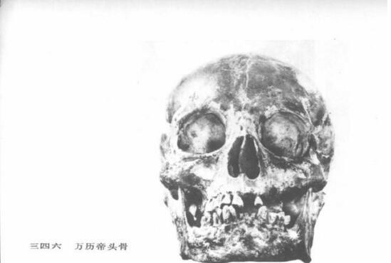 �����ʺ��ʬ�� �����������˷���������ʬ��