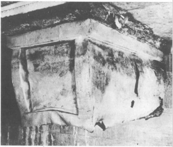 �����ʺ��ʬ�� �����������˷���������ʬ��