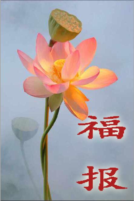 ��������˴ų��ʹ� ����Ҳ���ж�����Ҫϧ��