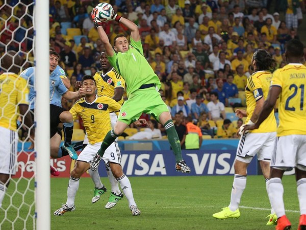 ������Ϊʲô�������� �Ž����������繷��ԭ��