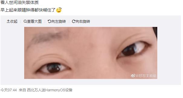 ��ʧ��������ô���� ������������