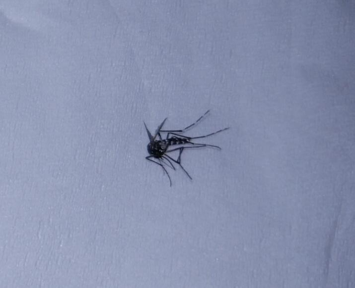 ����������ҧ������ô����ͼƬ �����׳���ʲô����