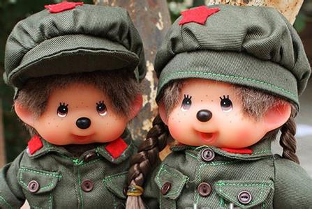 ��������ʲô��˼ ��������͵�ԭ��