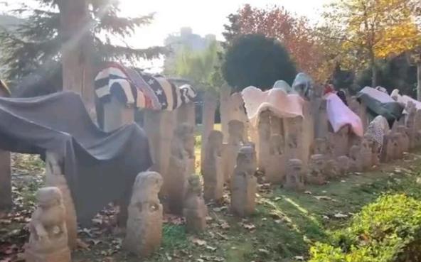 ������ԺΪʲô�ж�˩��׮��ʯʨ�� ѧУ��������Ų�������ô����