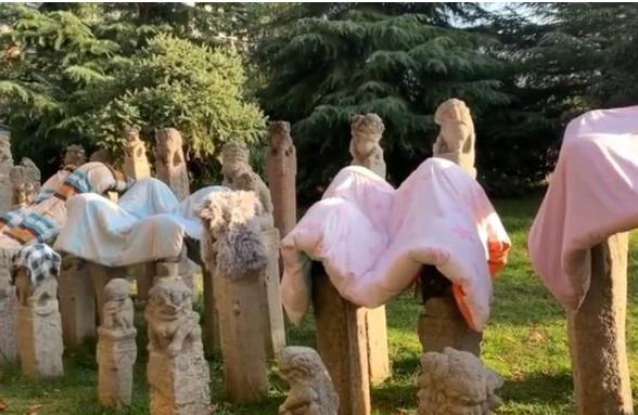 ������ԺΪʲô�ж�˩��׮��ʯʨ�� ѧУ��������Ų�������ô����