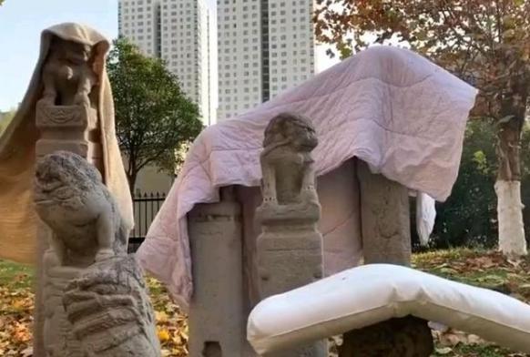 ������ԺΪʲô�ж�˩��׮��ʯʨ�� ѧУ��������Ų�������ô����