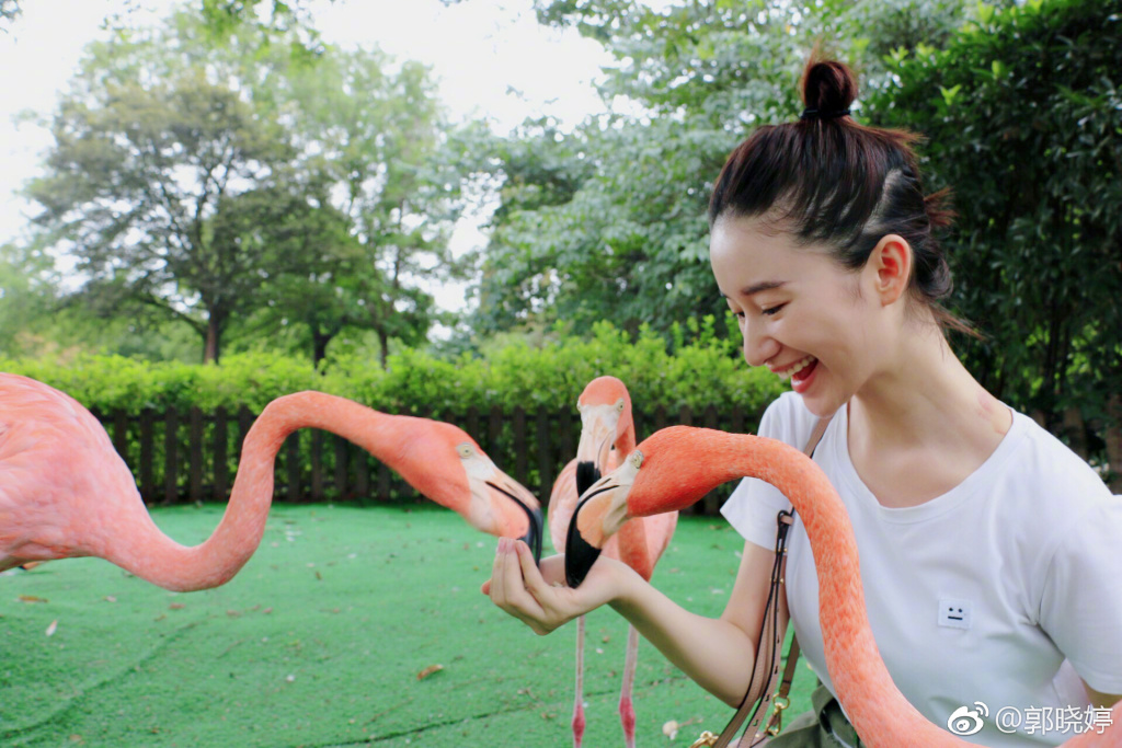 ���������㲨ʲô��ϵ ��������˭