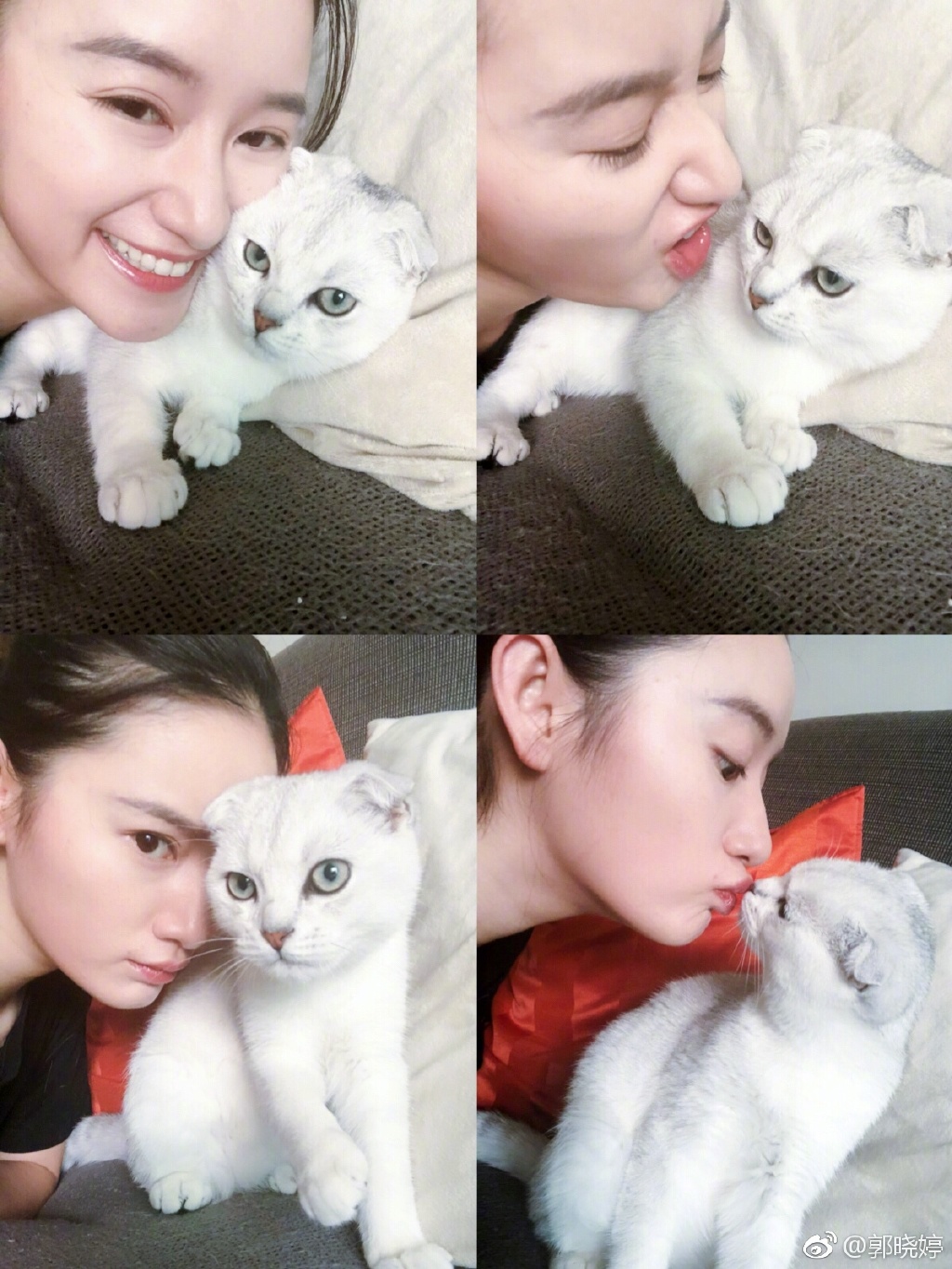 ���������㲨ʲô��ϵ ��������˭