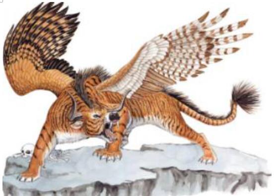 �����ʺ�ʲô���� ������������ɻ���ʲô