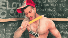 ĥ������ʲô������ ƴ�̵�����������ʲô��˼