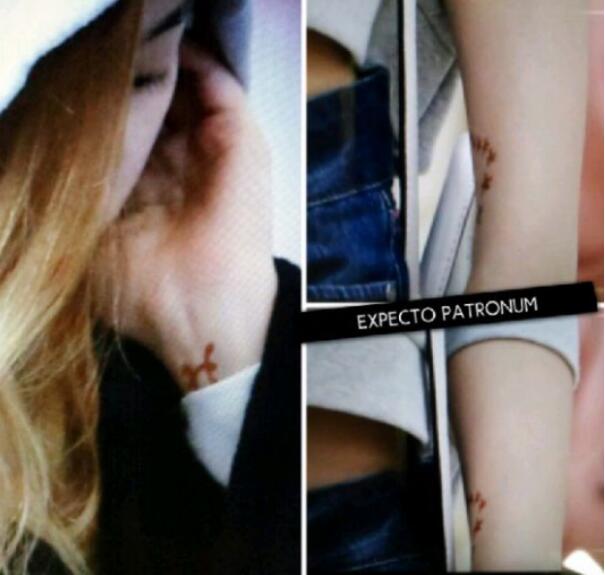 ̩���ֱ�������Ϊ���� ����̩��fine�ǳ������͵�