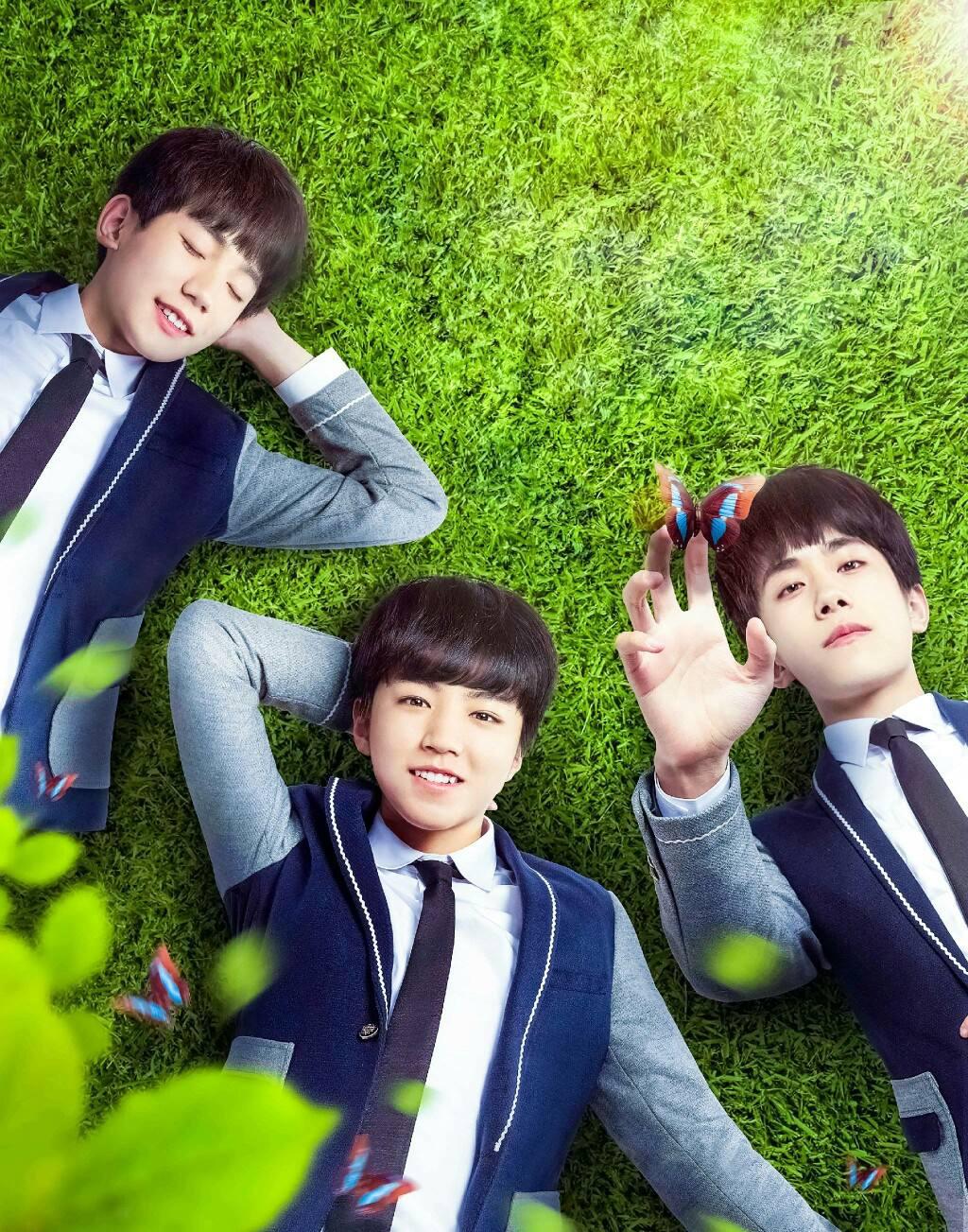 tfboysΪʲô���� BOY�����������ȽϽӽ�